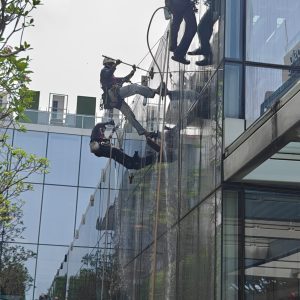 External Glass Skylight Cleaning at Oasia Resort Sentosa