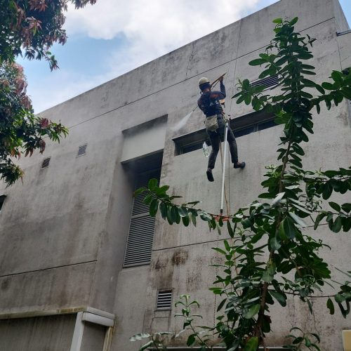 WhatsApp Image 2026-01-09 at 5.16.58 PM (2)